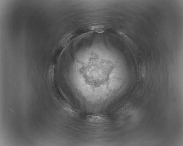 X0000054430475200508192128