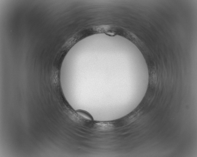 X0000054430477200508192128