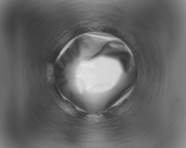 X0000054430480200508192128