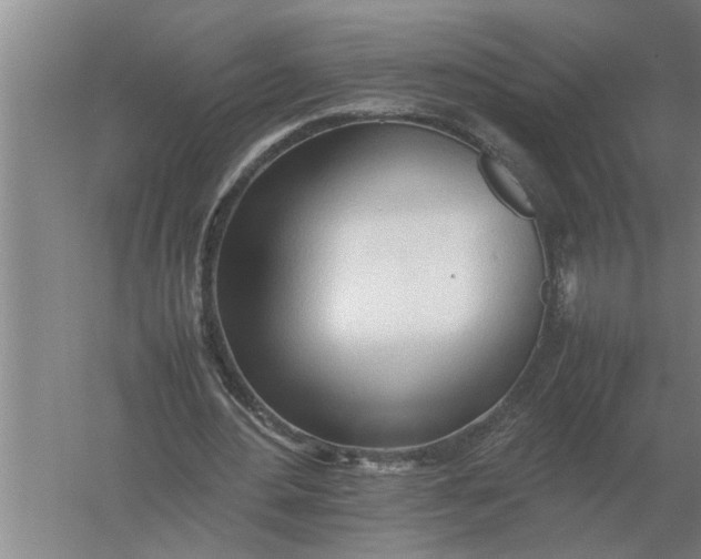 X0000054430484200508192127