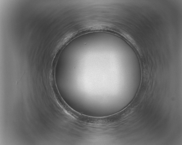 X0000054430485200508192127