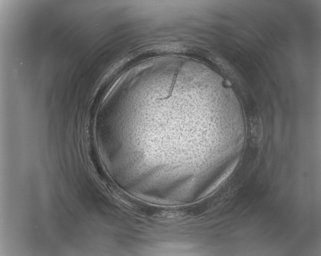 X0000054430487200508192127