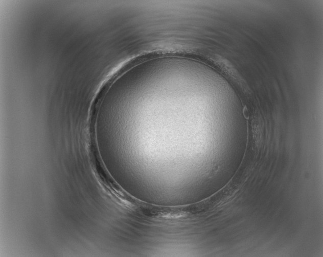 X0000054430488200508192127