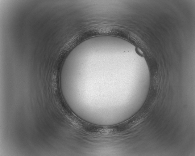 X0000054430497200508192127