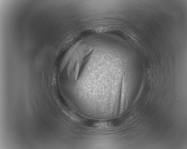 X0000054430499200508192127