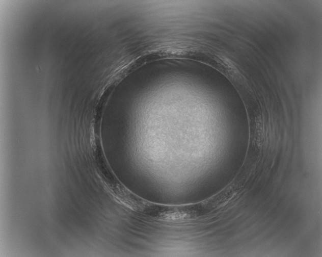 X0000054430500200508192127