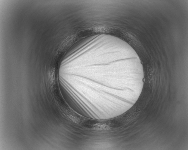 X0000054430502200508192127