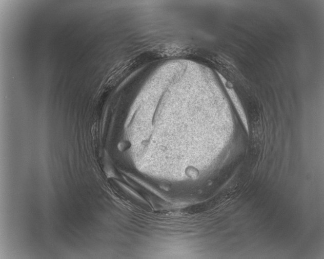 X0000054430503200508192127