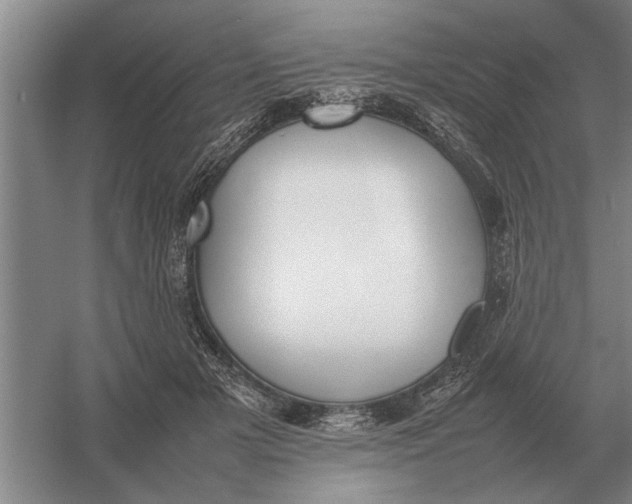 X0000054430505200508192127