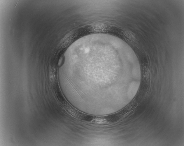 X0000054430507200508192127