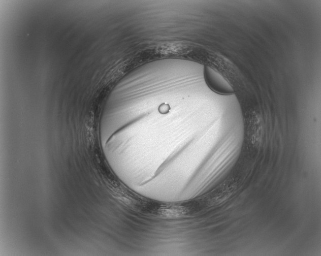 X0000054430510200508192127