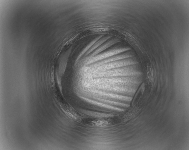 X0000054430512200508192127