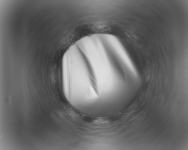 X0000054430515200508192127