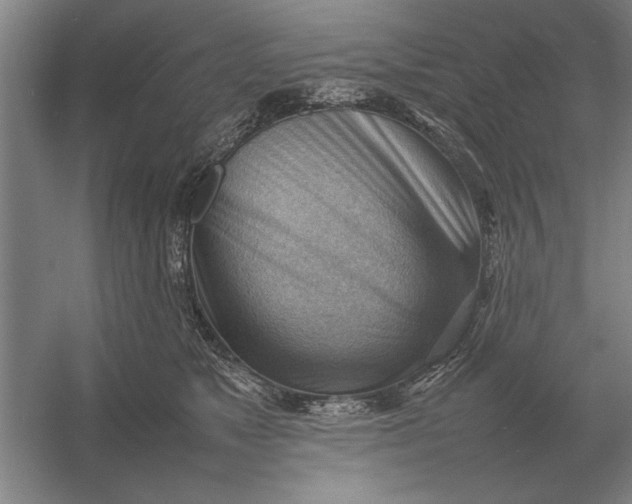 X0000054430517200508192127