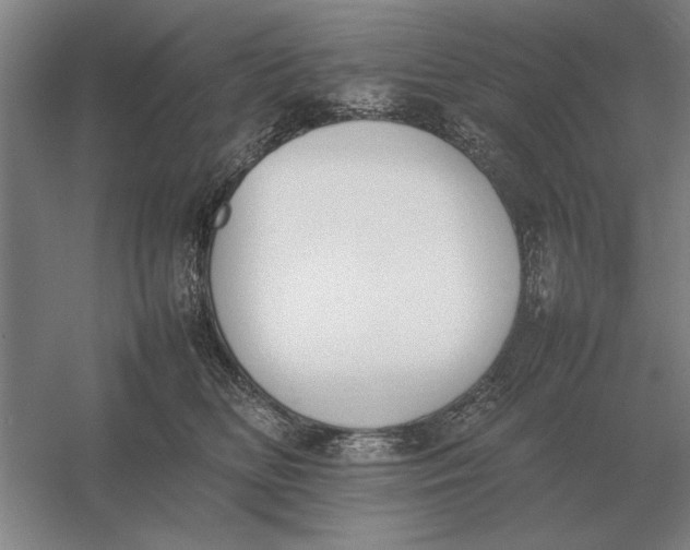 X0000054430518200508192127