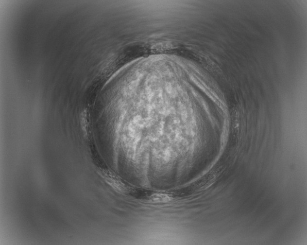 X0000054430519200508192127