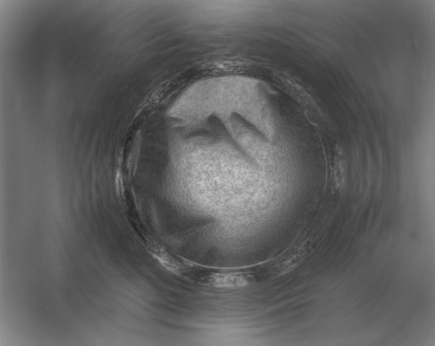 X0000054430520200508192127