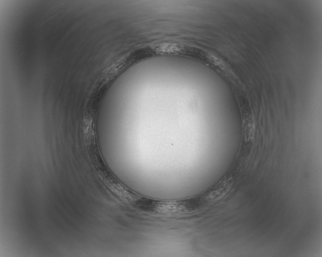 X0000054430521200508192127