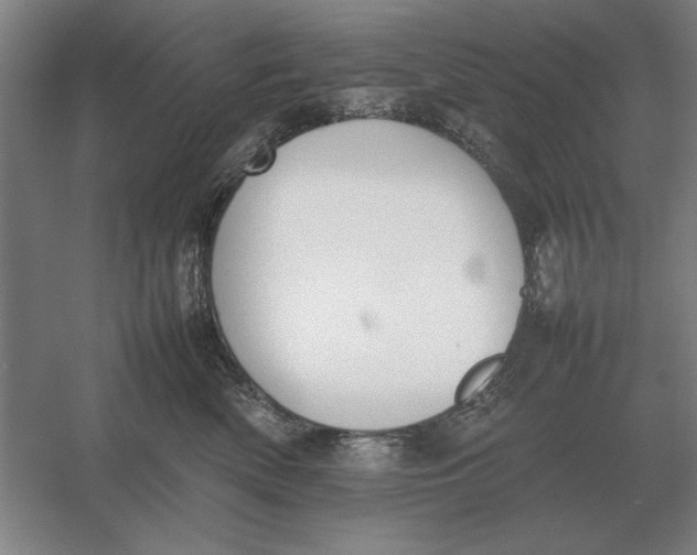 X0000054430522200508192127