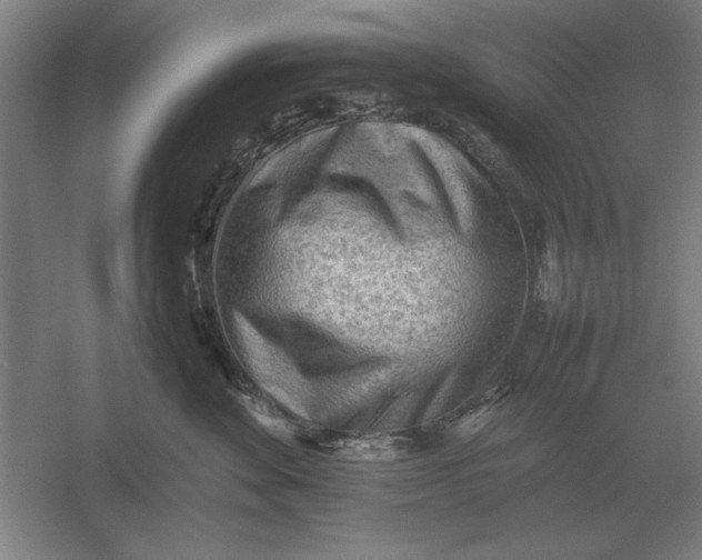 X0000054430524200508192127