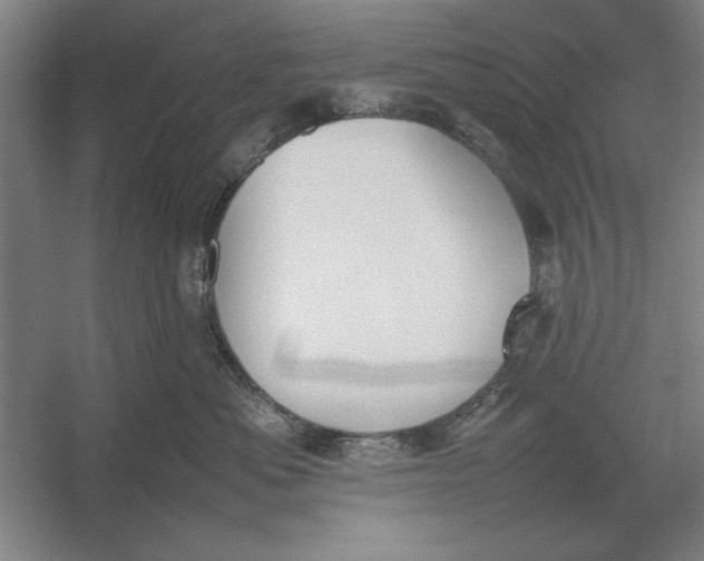 X0000054430525200508192127