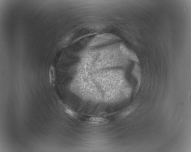 X0000054430528200508192127