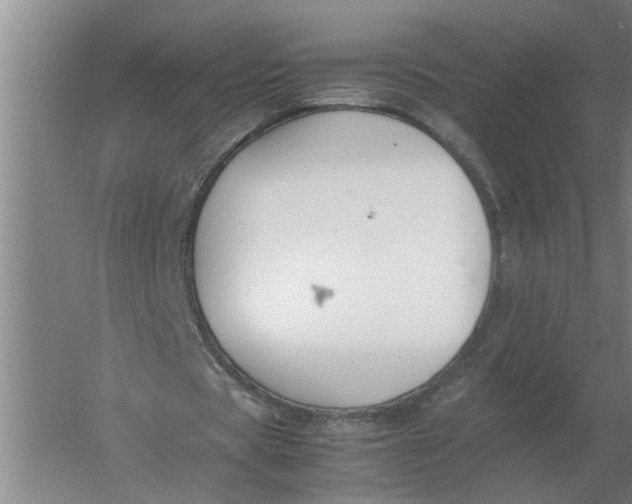 X0000054430529200508192126