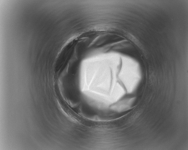 X0000054430530200508192126