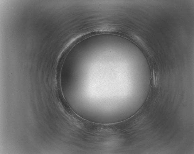 X0000054430531200508192126