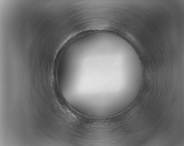 X0000054430532200508192126