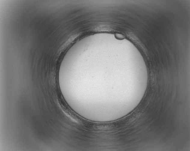 X0000054430533200508192126