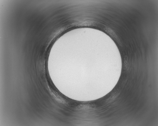 X0000054430534200508192126