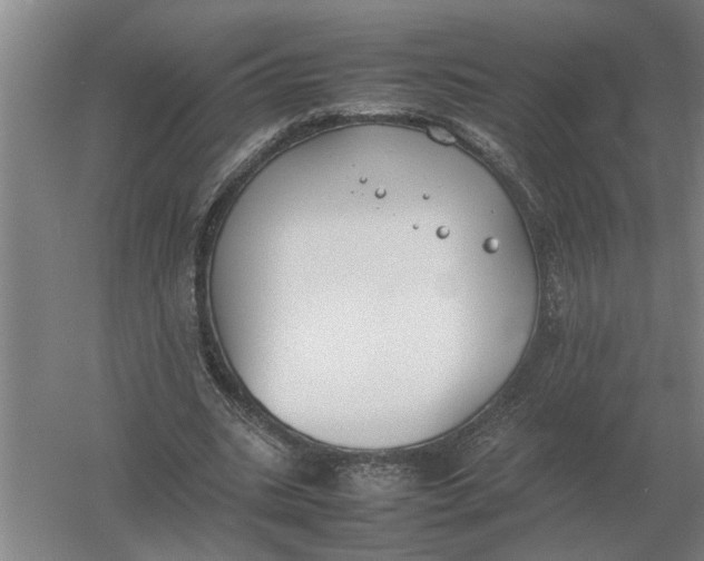 X0000054430535200508192126