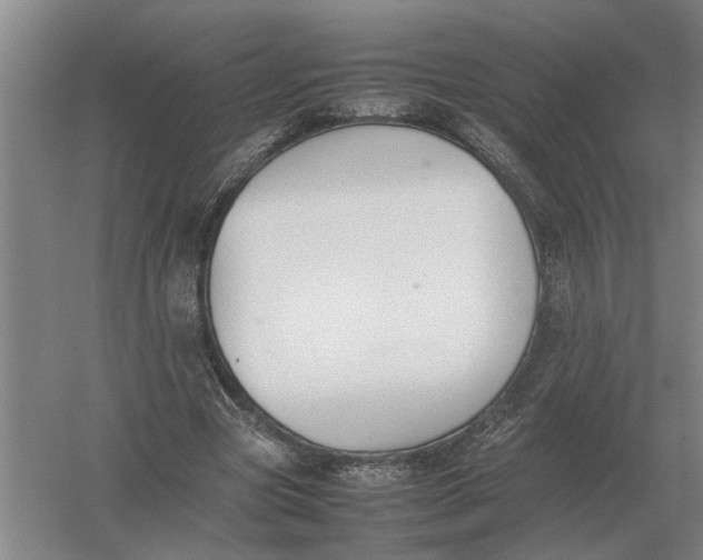 X0000054430537200508192126