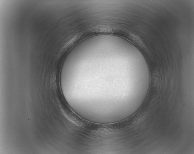 X0000054430538200508192126