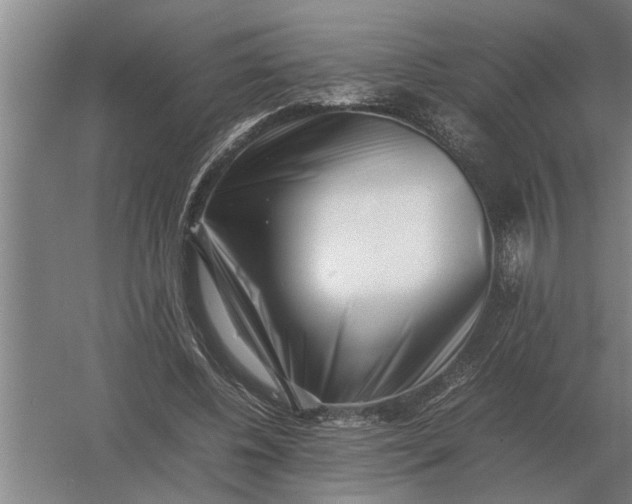 X0000054430540200508192126