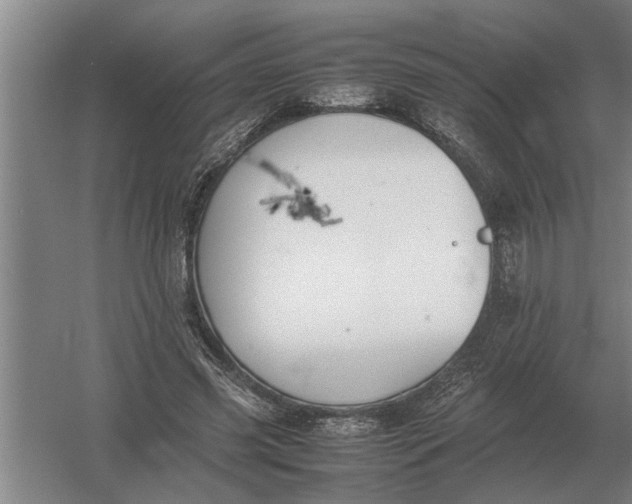 X0000054430541200508192126