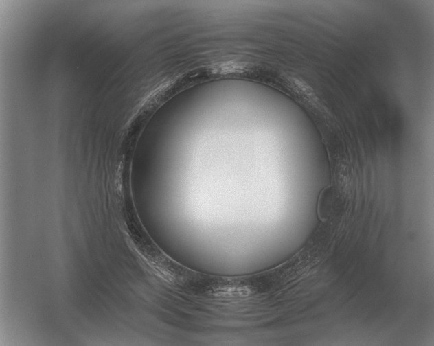 X0000054430543200508192126