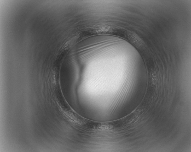 X0000054430546200508192126