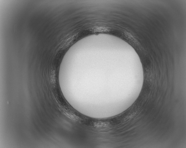 X0000054430549200508192126