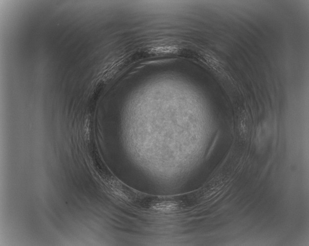 X0000054430551200508192126