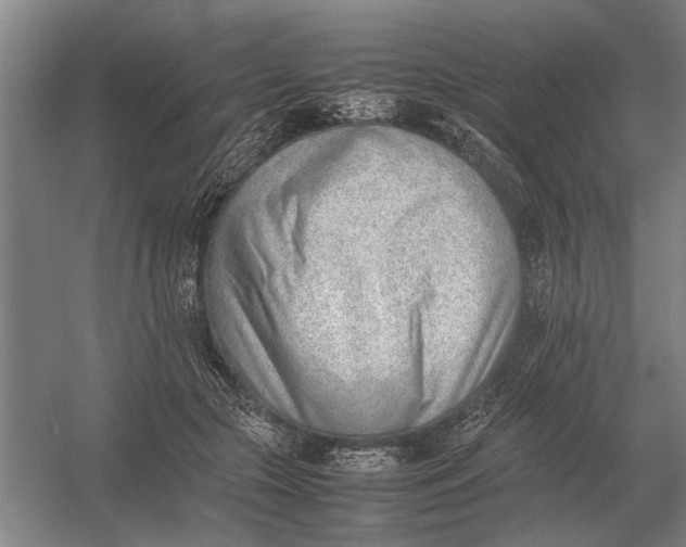 X0000054430553200508192126