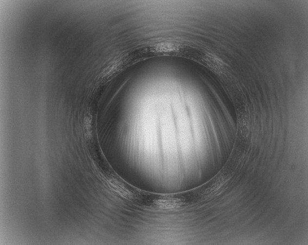 X0000054430556200508192126