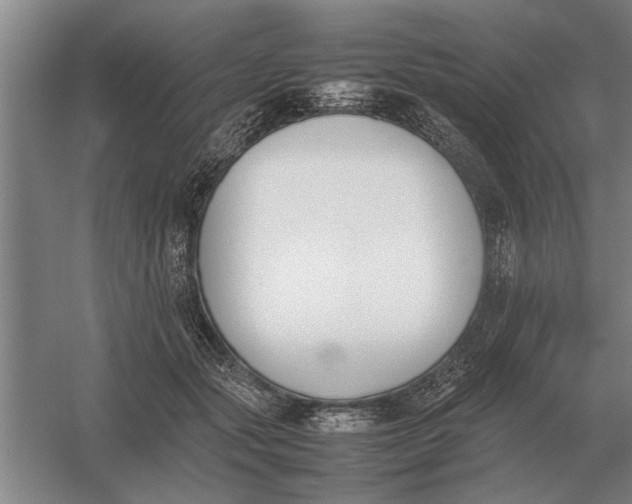 X0000054430557200508192126