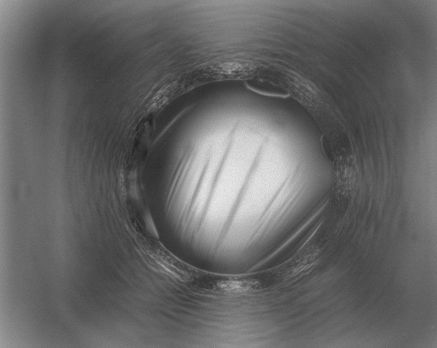 X0000054430558200508192126