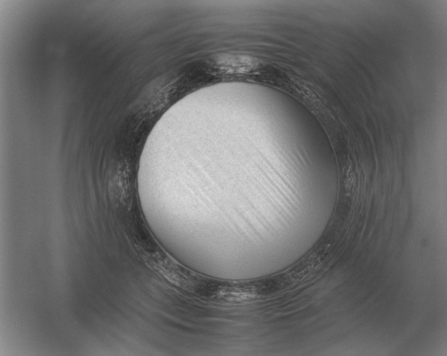 X0000054430559200508192126