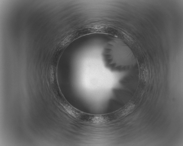 X0000054430562200508192126