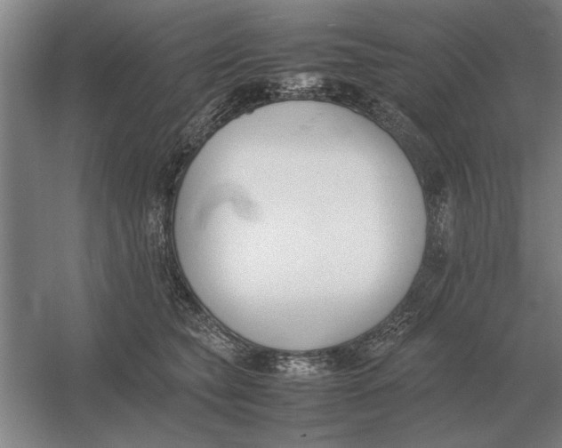 X0000054430565200508192126