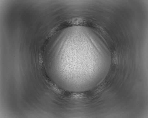 X0000054430569200508192127