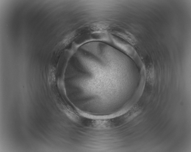 X0000054430570200508192127